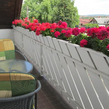 Apartamento Betti Vendeghaz *