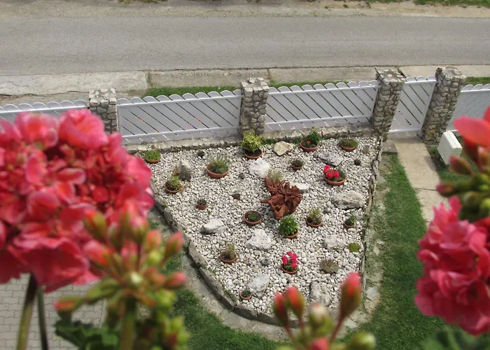 Betti Vendeghaz Alsopahok